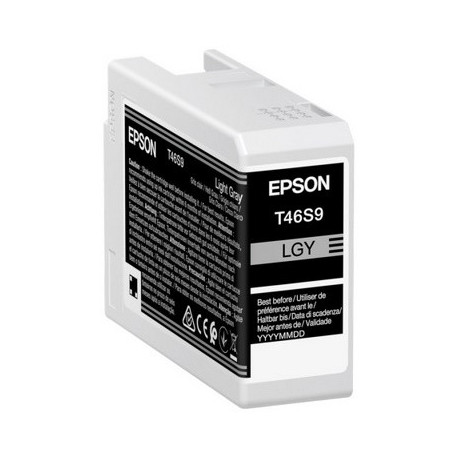 Réservoir encre light grey Epson C13T46S900