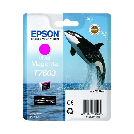 Cartouche magenta Epson C13T76034010 / T7603